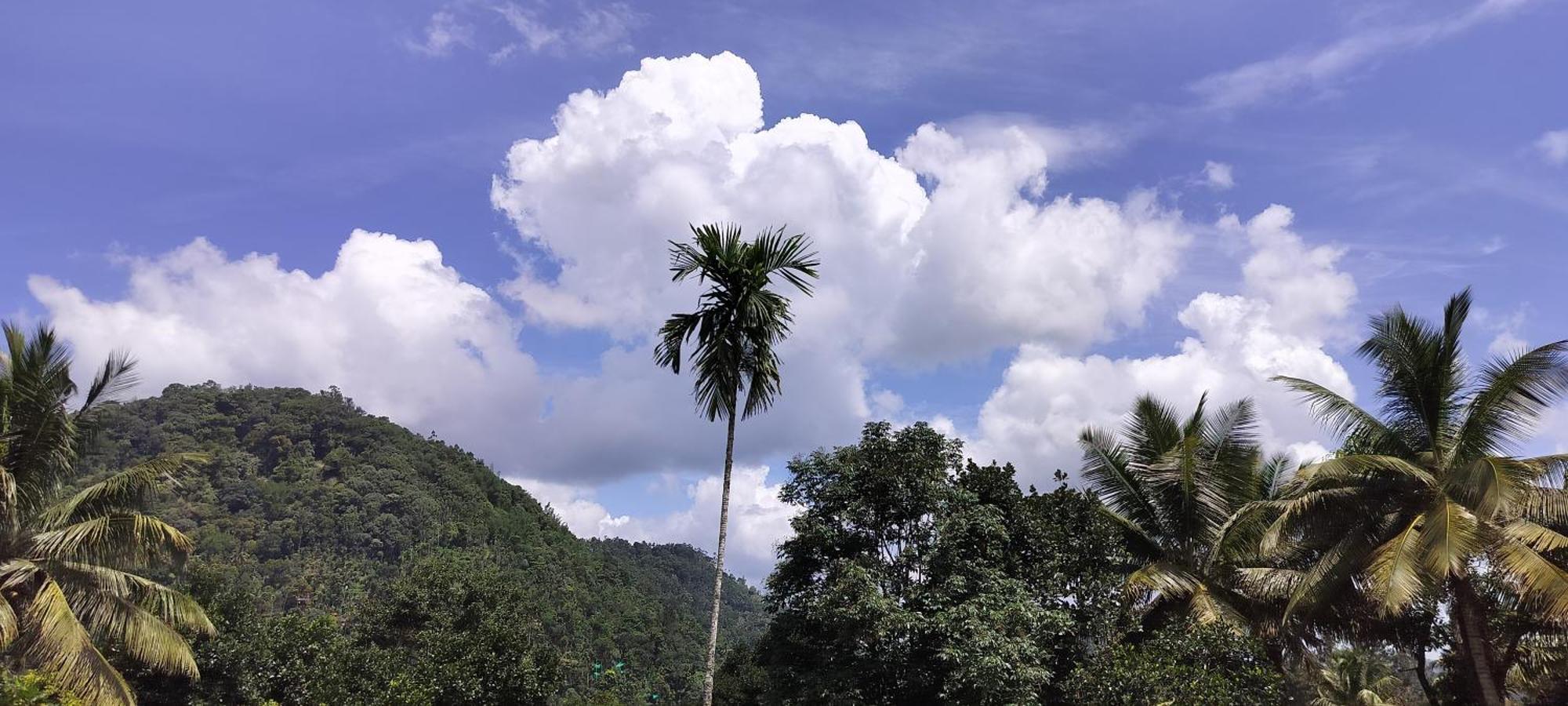 Himadri Munnar Holidays Zewnętrze zdjęcie